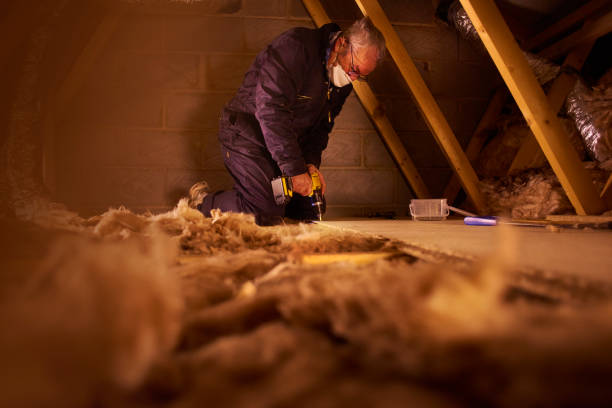 Best Commercial Insulation in Bladenboro, NC